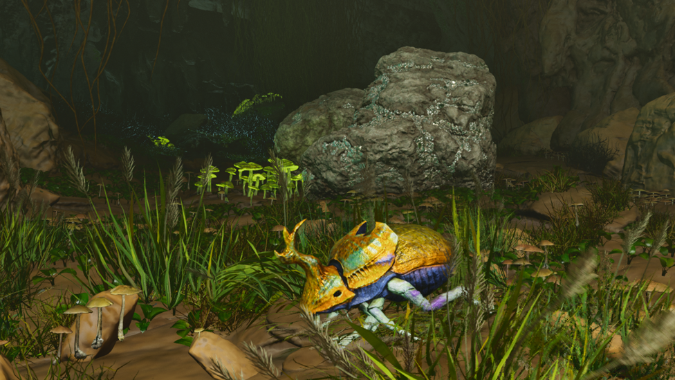  Dung Beetle Found in the Caves