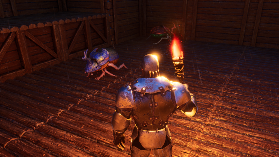  Dung Beetles in the Farm