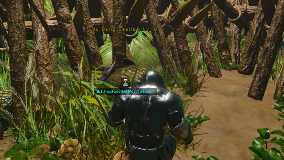  Approaching Dung Beetle