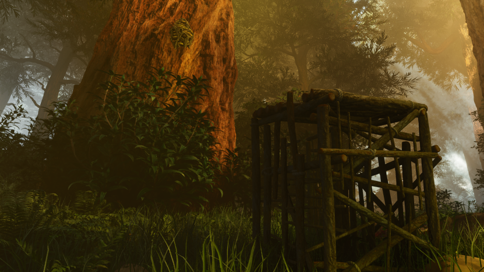  Wooden cage Near the Trap