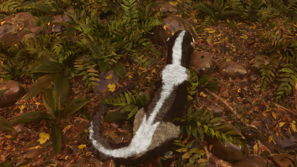  Finding Otter Near the River Banks