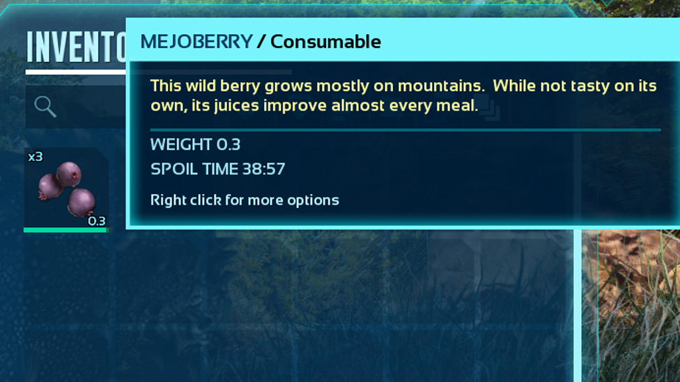  Use Mejoberries and Place Them into Patchy's Inventory