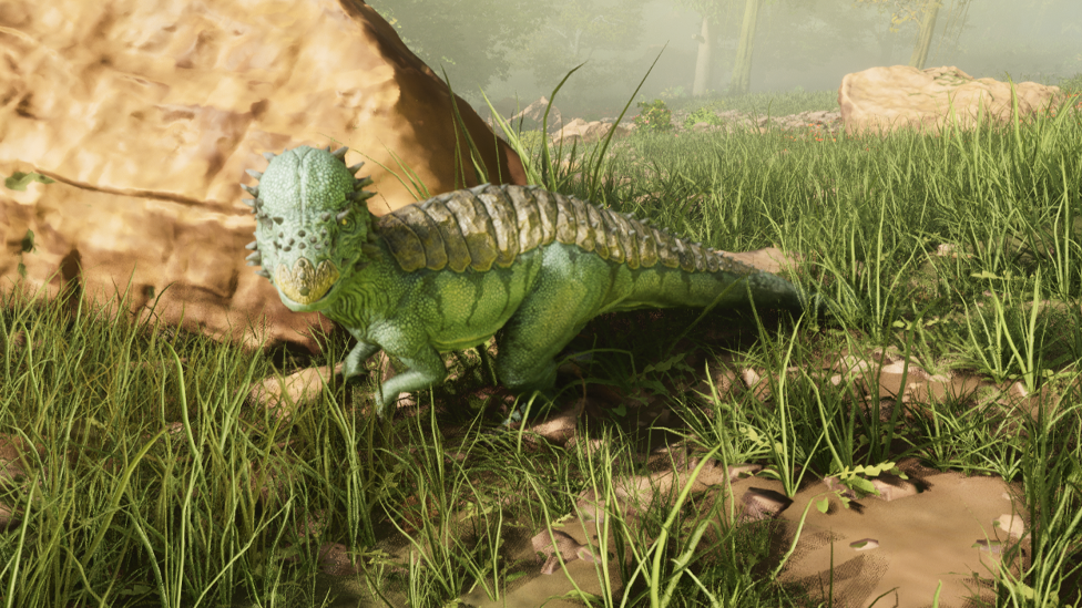  Finding Patchy at Grasslands