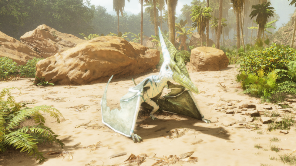  Finding Pteranodon Near Coastlines