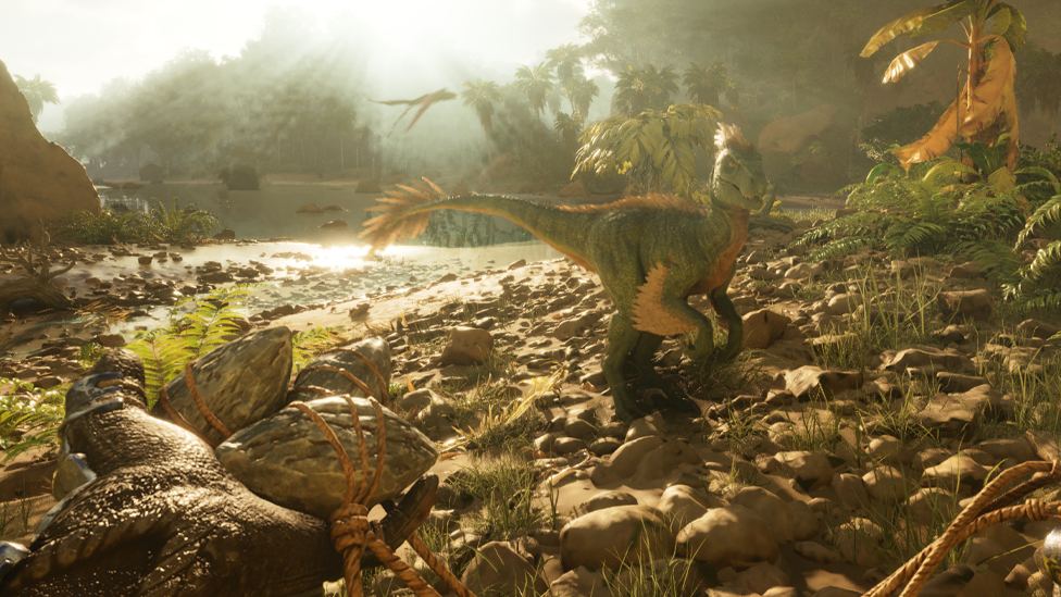  Using Bola for Immobilizing