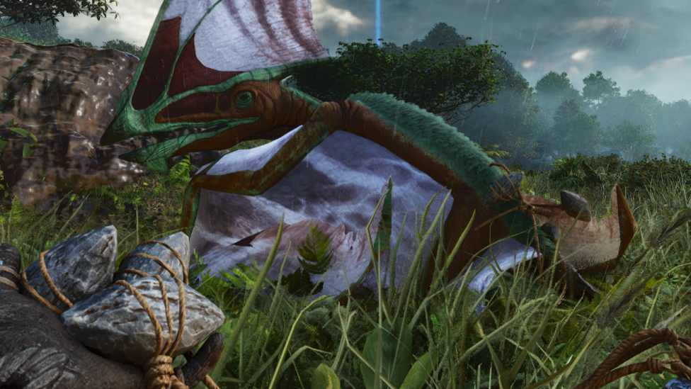  Use Bola to Trap Tapejara