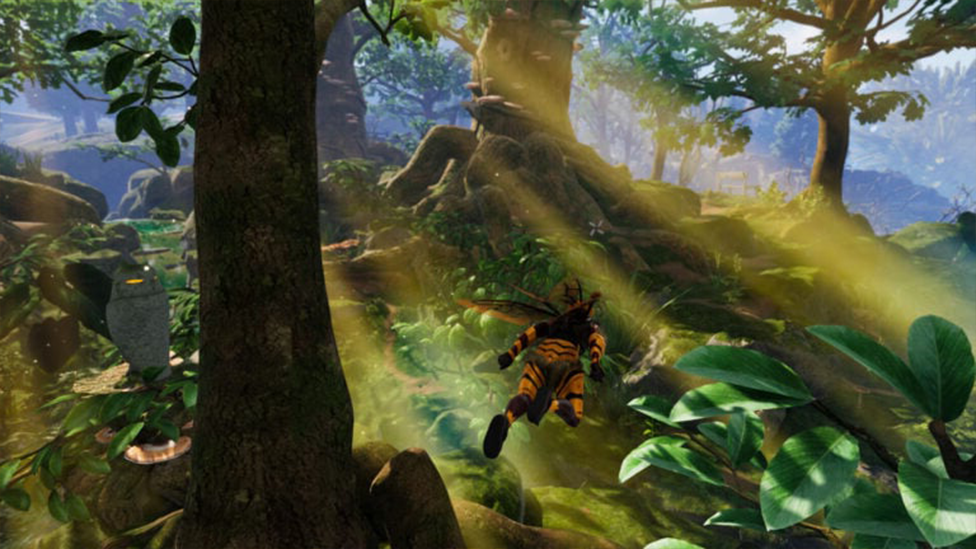  You Can Explore Without Your Wings Being Frozen