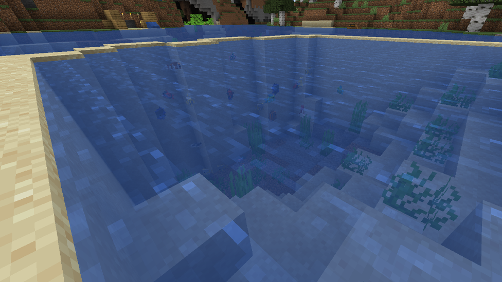  Tropical Fish in Aquarium