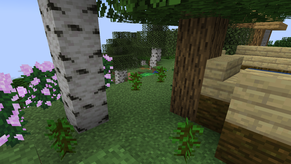  Planting Jungle Saplings