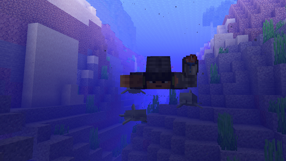  Swimming Together With Dolphins to Build Trust