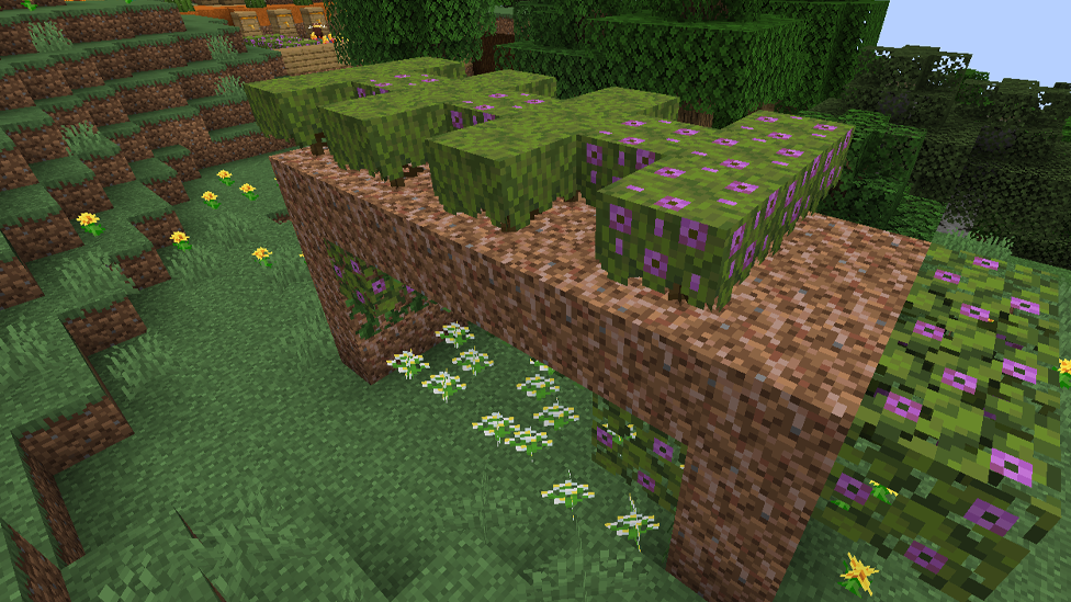  Rooted Dirt as Growth Catalyst