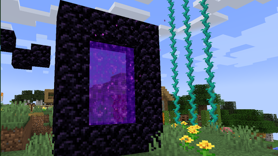  Nether Portal is Crucial for Speedrunning