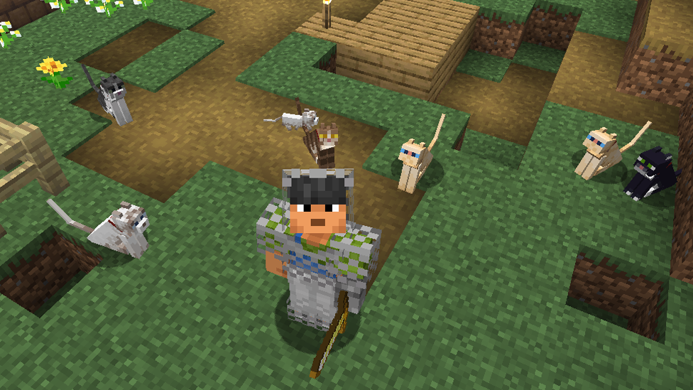  Cats in Minecraft