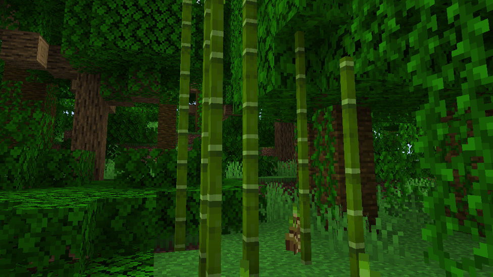  Bamboo Resource