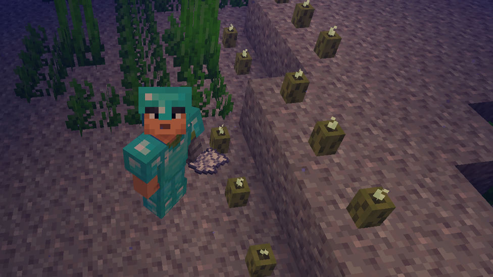  Using Bonemeal To Cultivate Sea Pickles