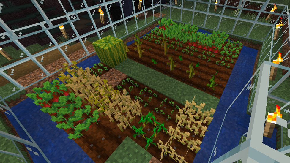  Crop Growth