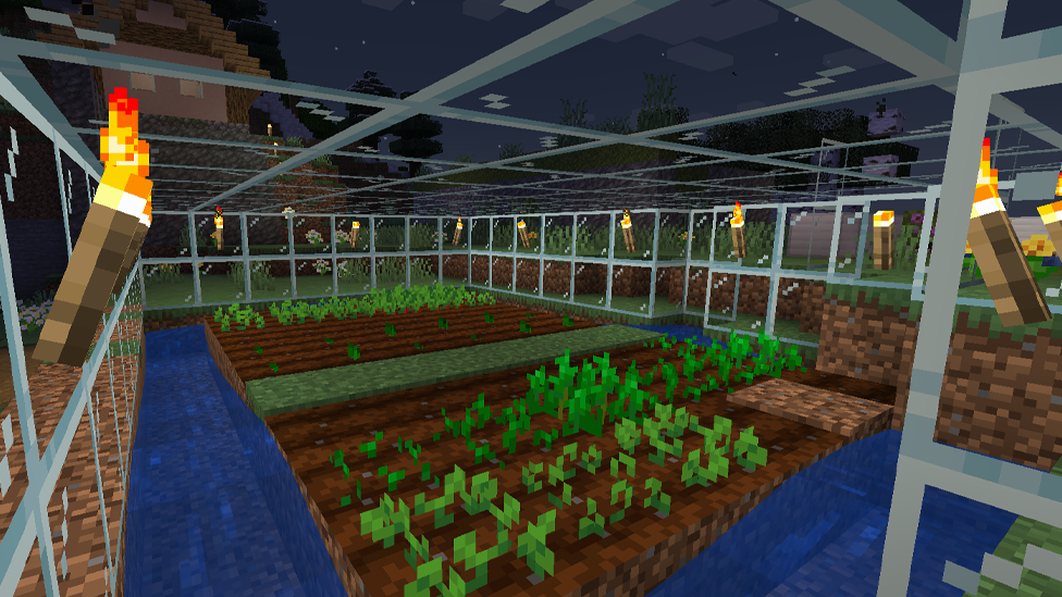  Make Sure the Crops Have Light Even At Night