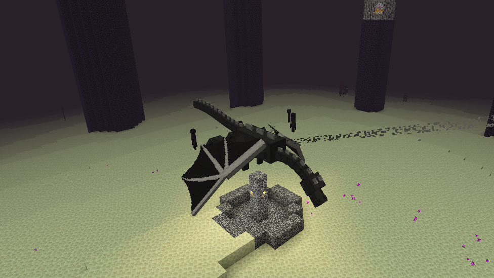 Confronting the Ender Dragon