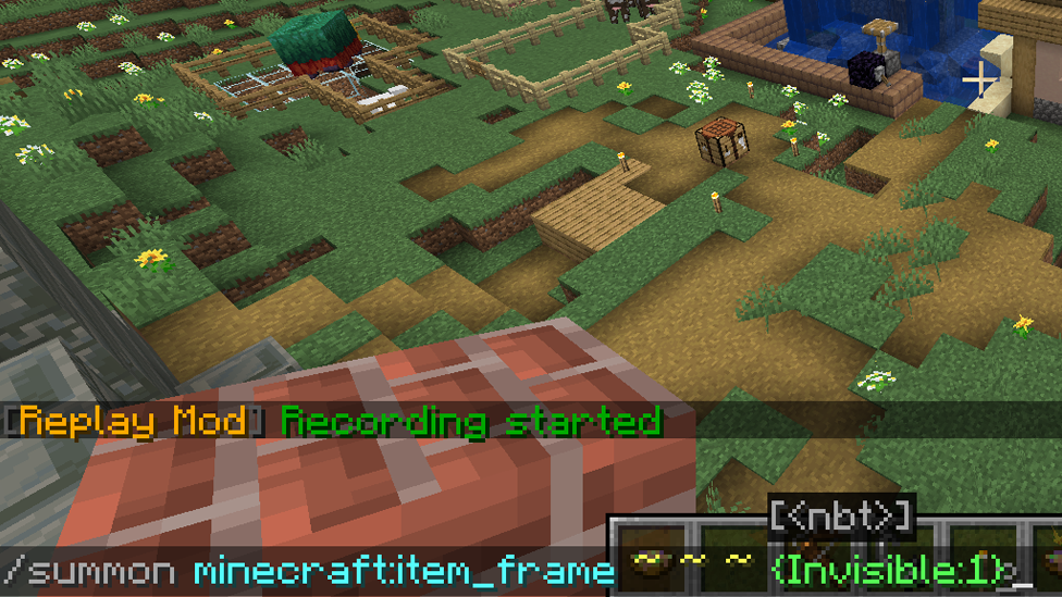  Executing the Command