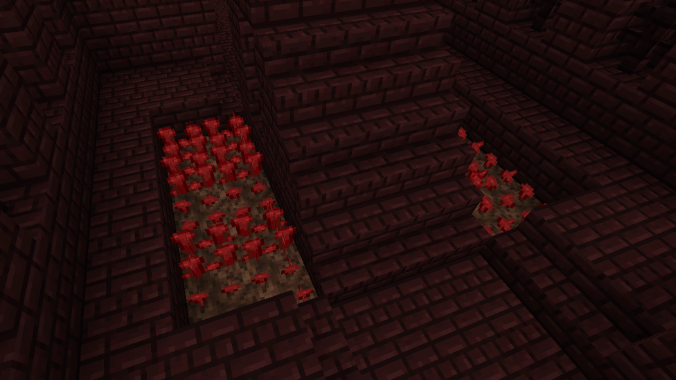  Nether Wart in the Nether Dimension
