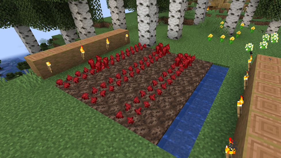  Facilitating the Torches Around the Farm