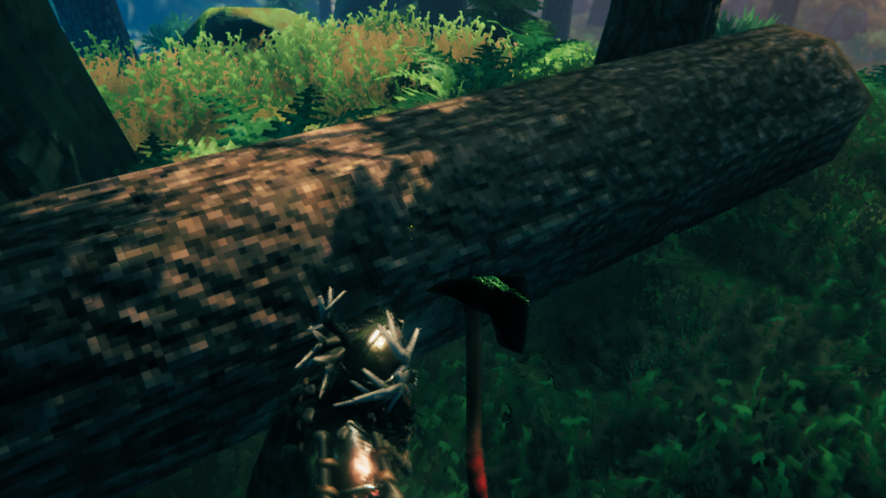  Chopping the Log of Pine Tree to Collect Core Wood