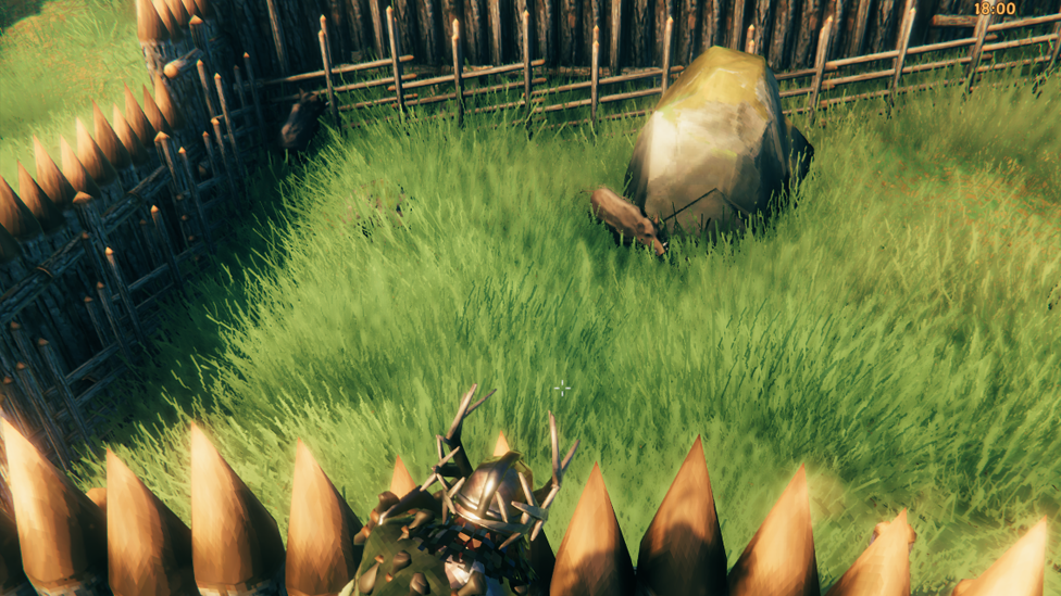  Setting Up a Boar Farm