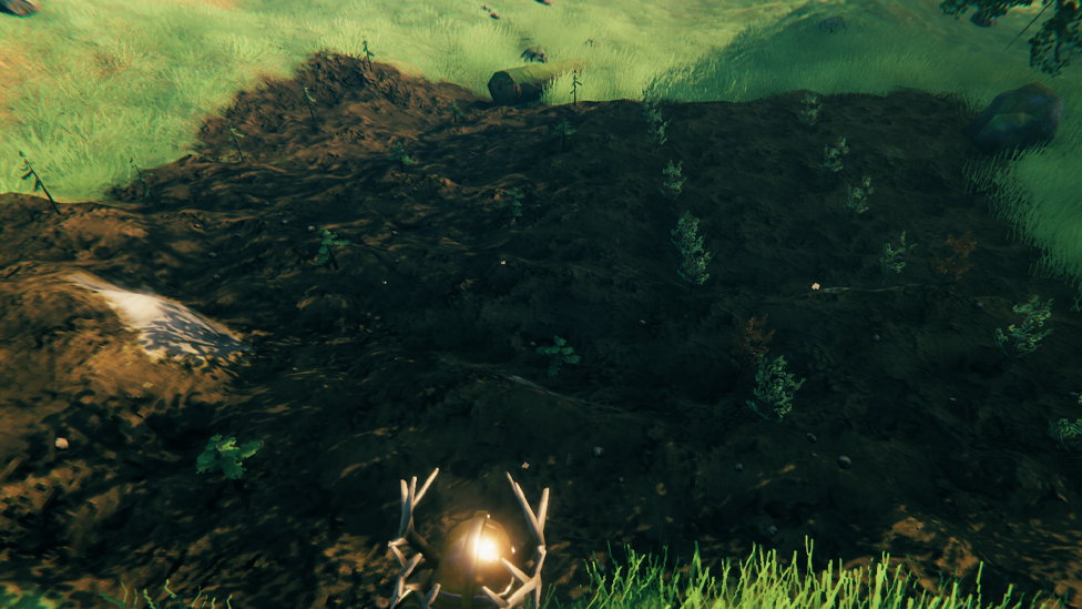  Tree Planting Diversity and Pattern