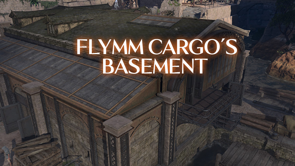  One Infernal Iron is in the Flymm's Cargo Basement