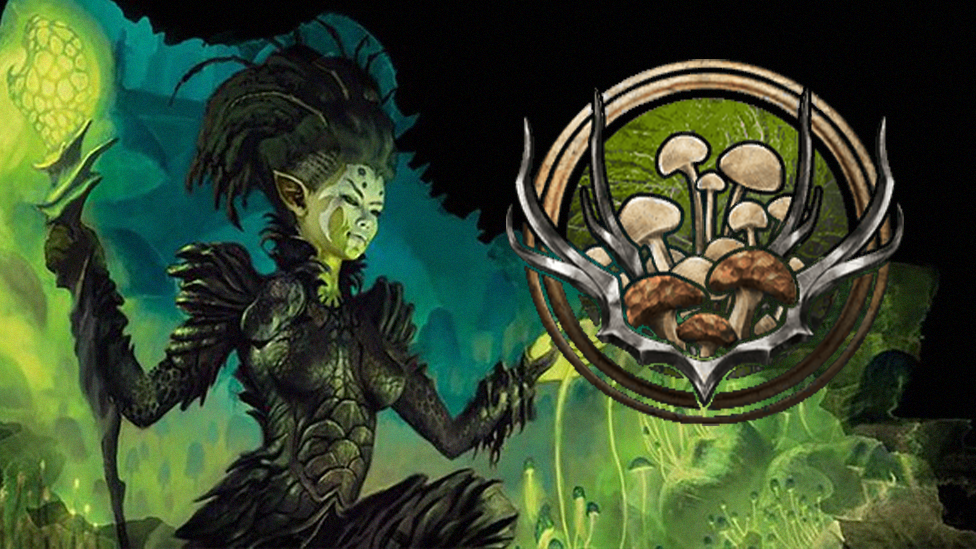  Circle of Spores Druid