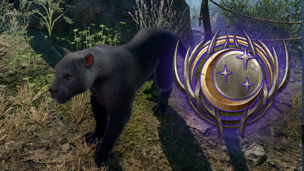  Circle of Moon Druid