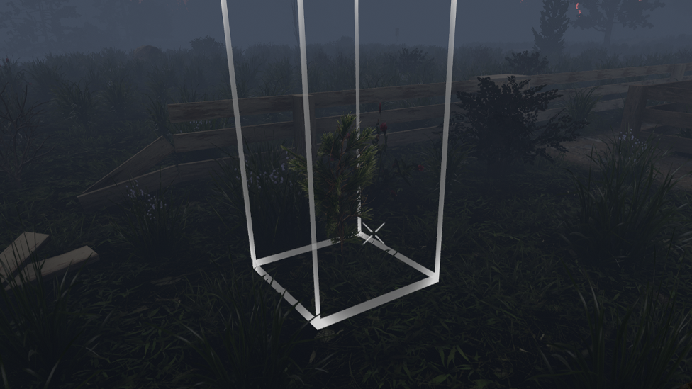  Plant New Trees Around the Base