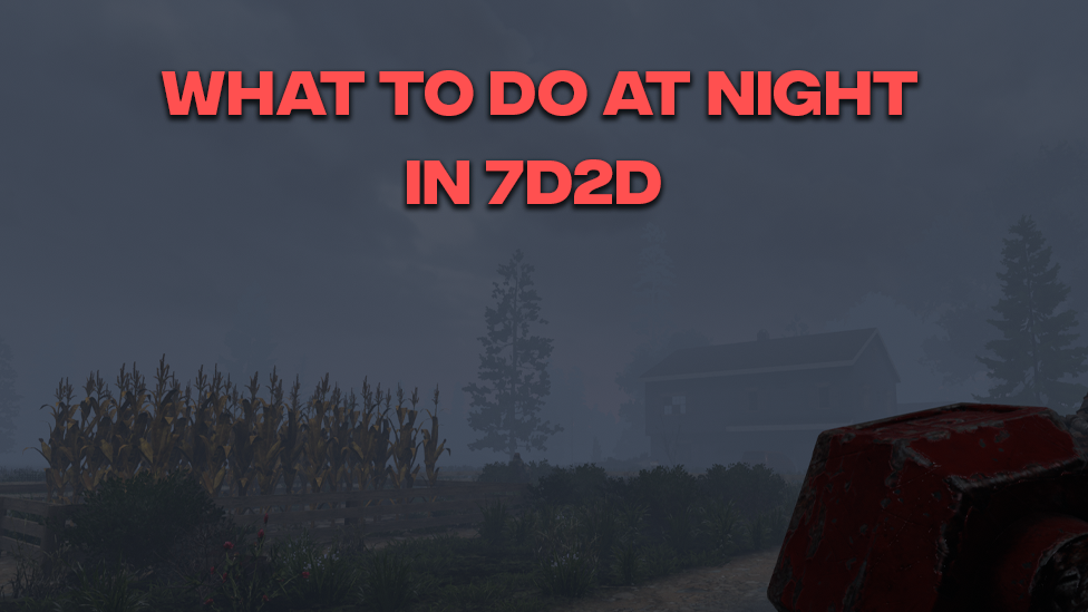  What to Do at Night