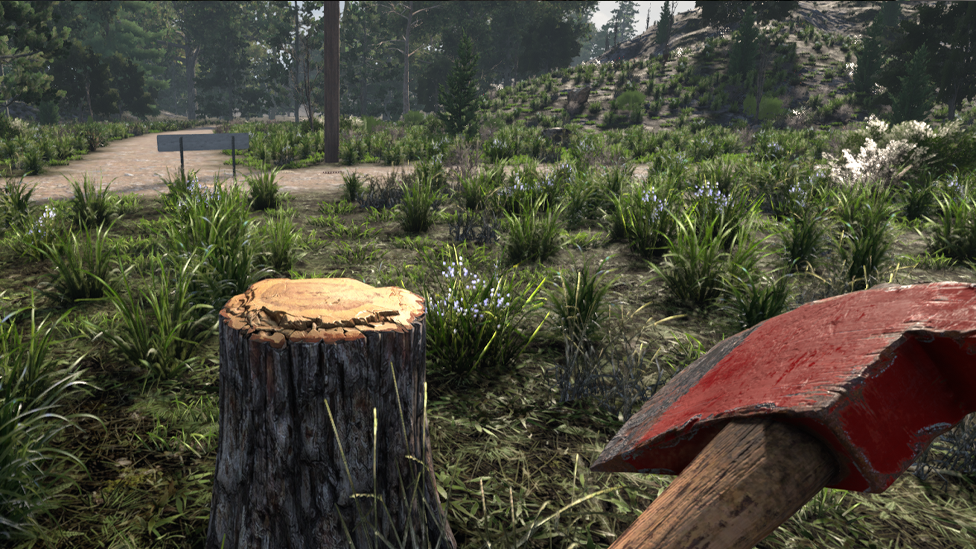  Tree Stumps Where You Can find Honey