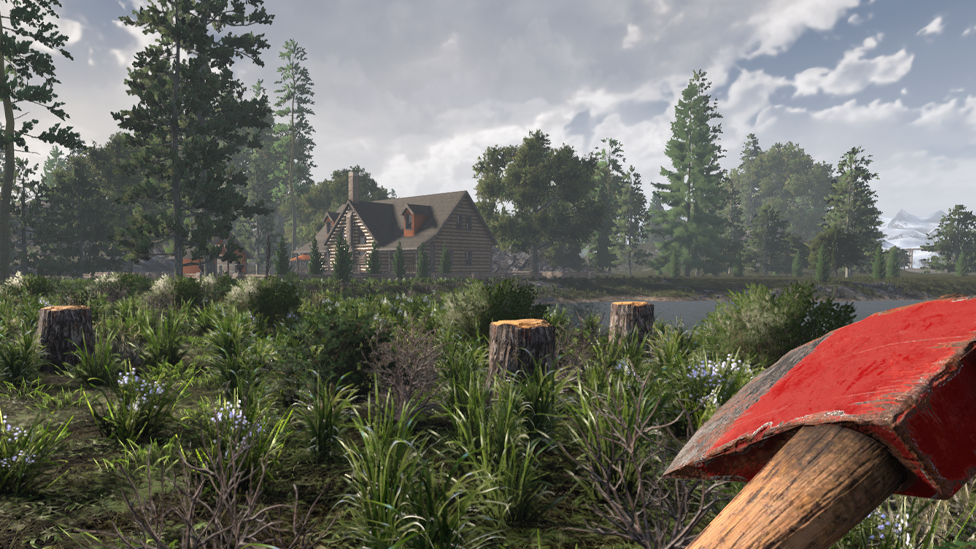  Find Tree Stumps in the Forest Biome