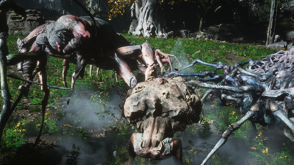  Have Diverse Transformation Set