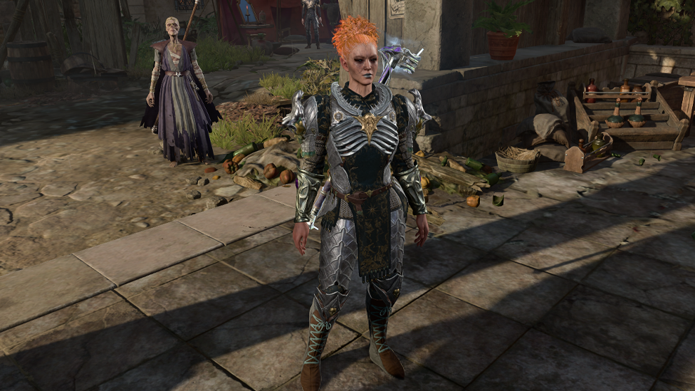  Selecting Elf Will Grant You Perception Proficiency