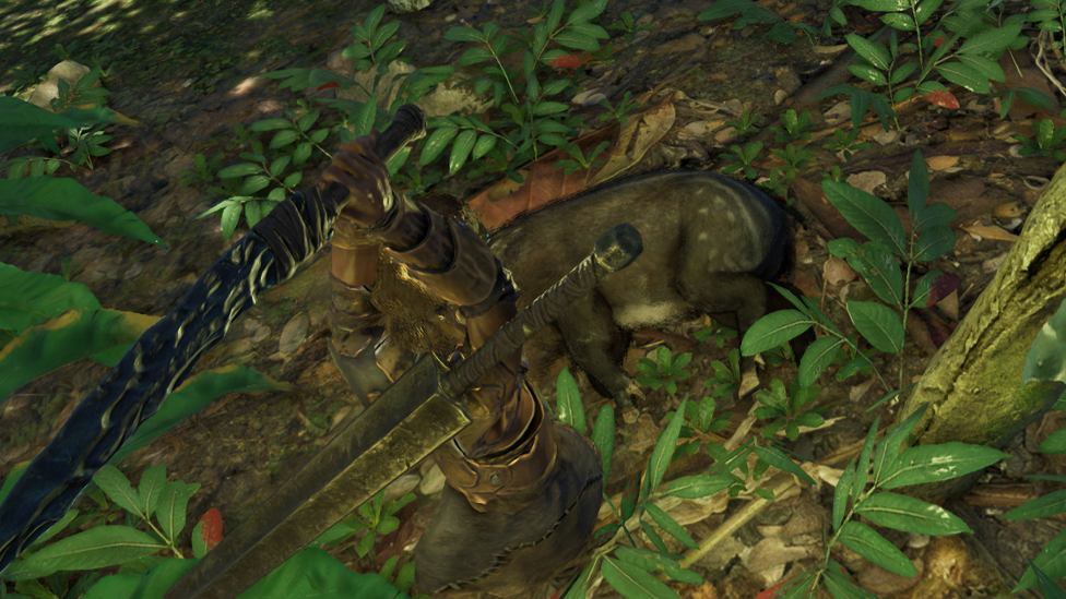  Gathering the Material