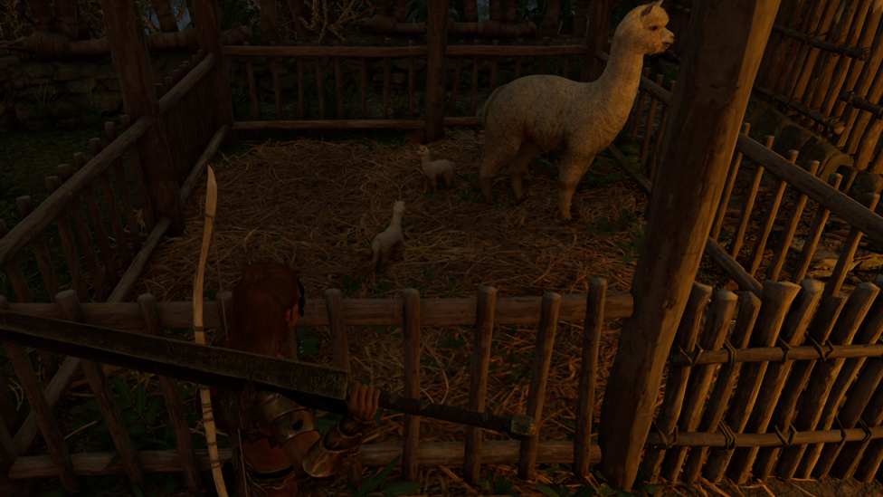  Alpaca in the Flint Tribe Camp