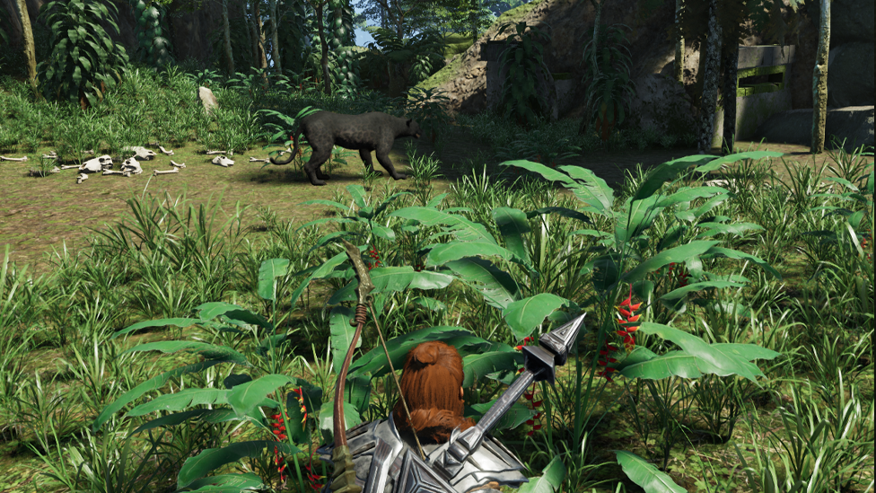  How to Tame a Panther