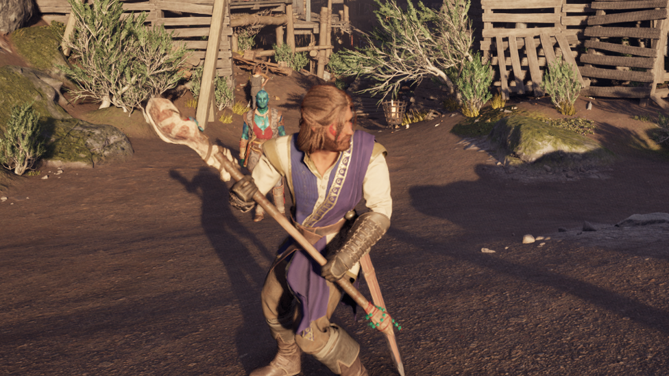 Fighter Character