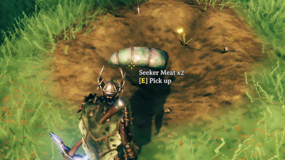 Seeker Meat