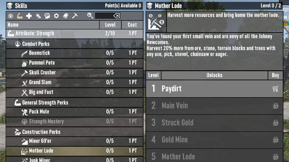Mother Lode