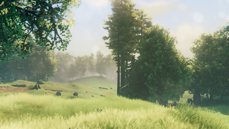 Meadows Starting Location