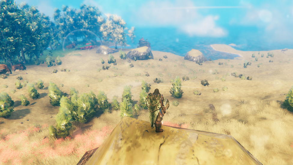 Plains Biome