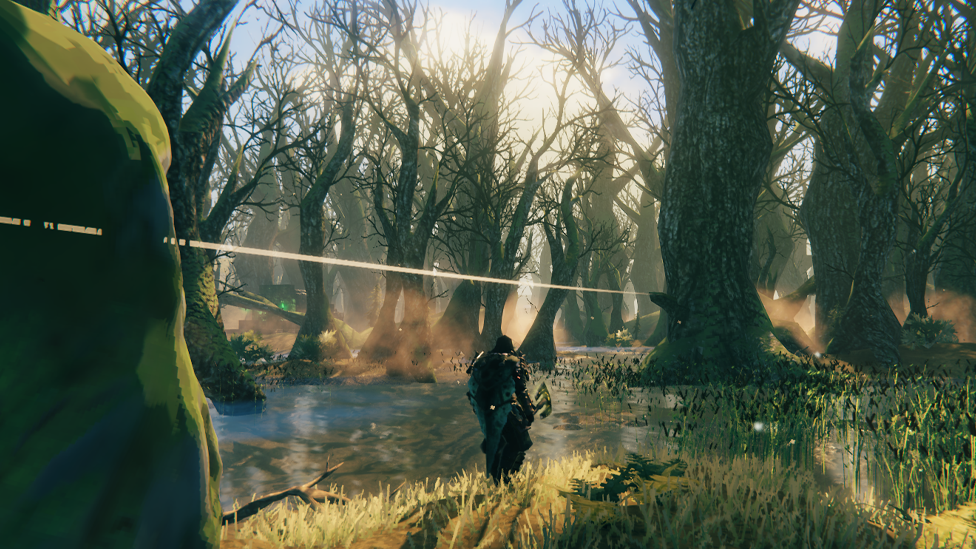 Swamp Biome