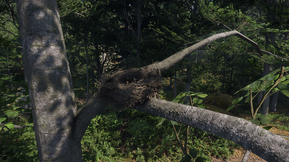 Nest
