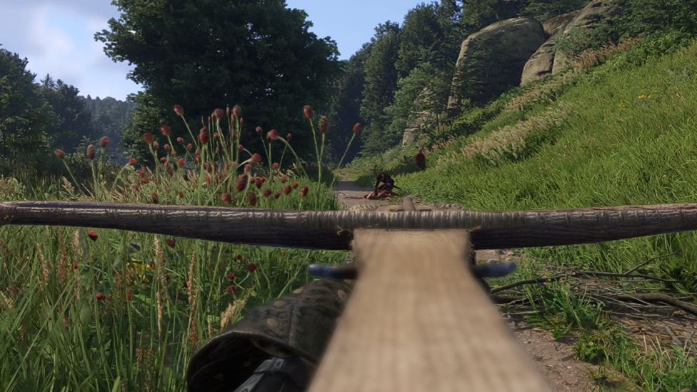 Distance Shot With Higher Damage Input
