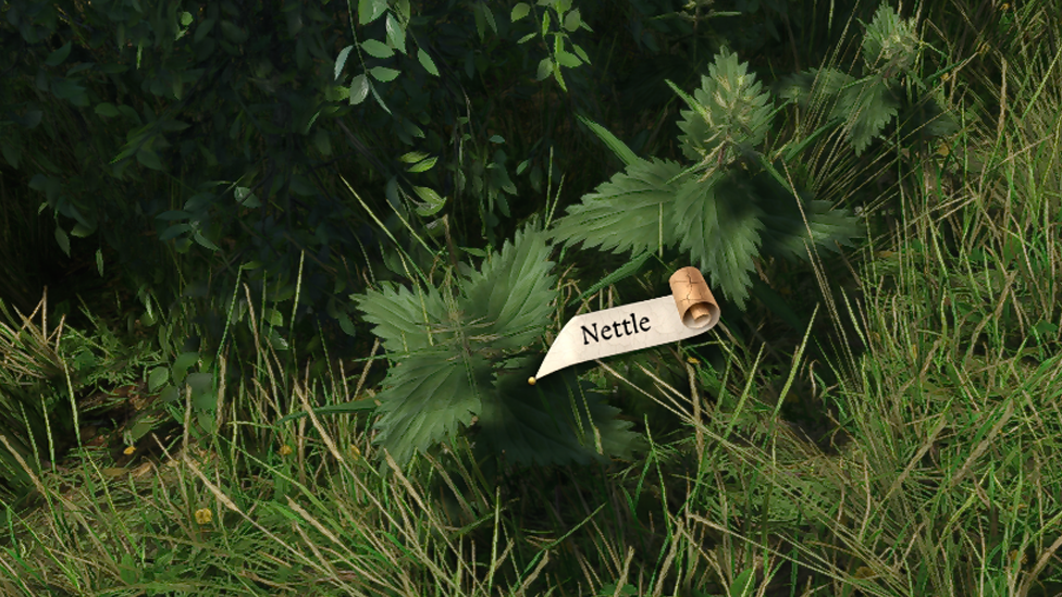 Nettle