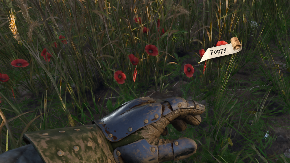 Poppy
